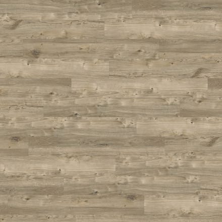 22680-sb5w2531-sun-bleached-